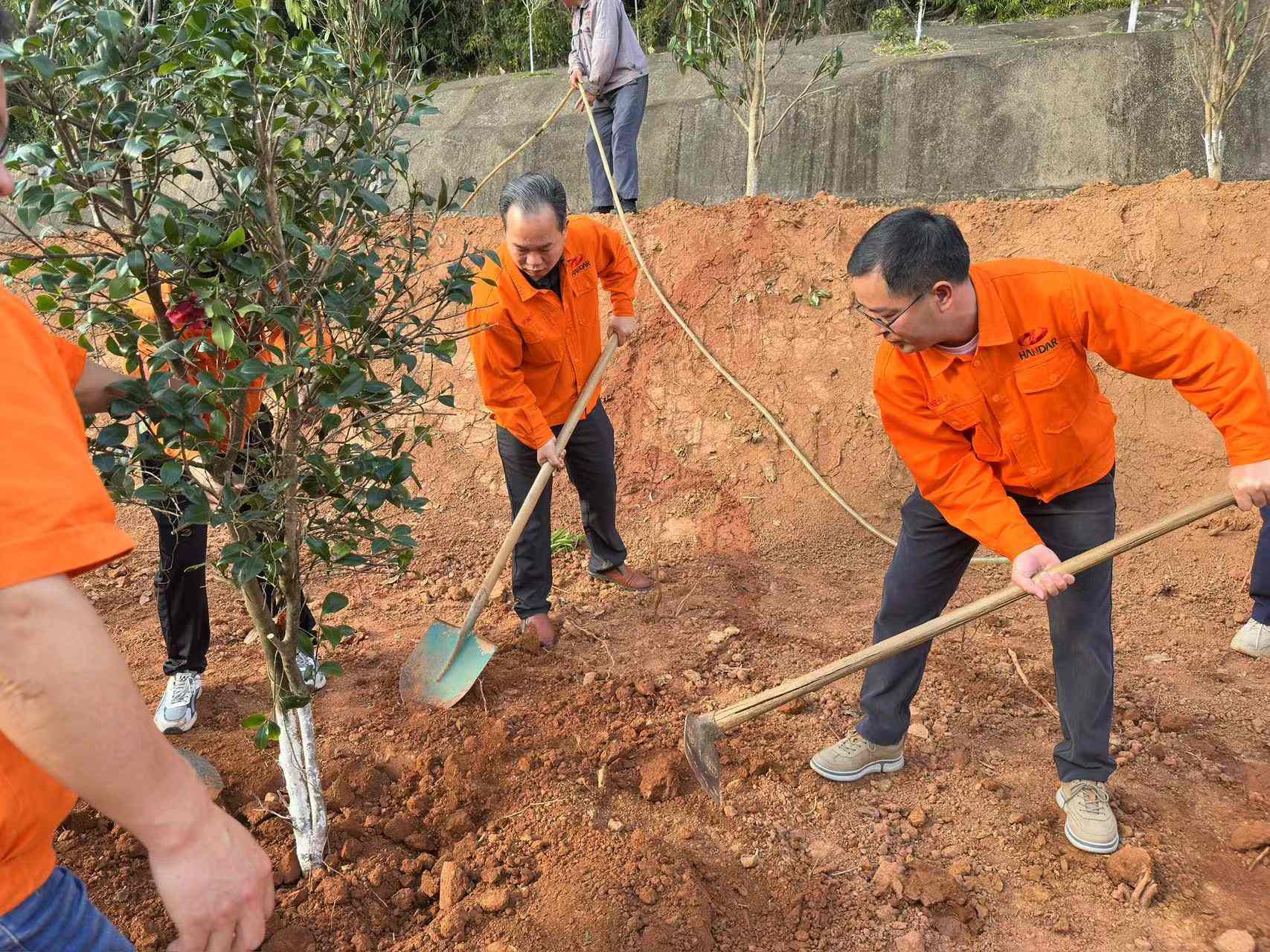 图1(1).jpg 图1(1).jpg